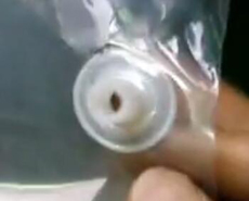 �������캸�әC(j��)