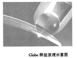 ���⺸�����ϵ��·���