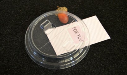 透明塑料奶茶半開杯蓋特點(diǎn)及應(yīng)用