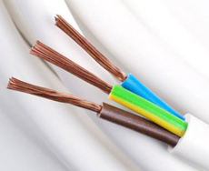 �~���B�ӵĽ^��̎��