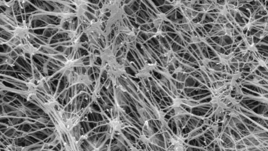 EPTFE防水透氣膜