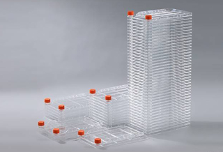 ��(x��)�����Sƿ�w�ϵ�͸��Ĥ����Ҫ��