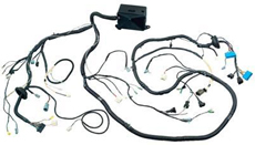 ��܇�͉������̶��c���x��