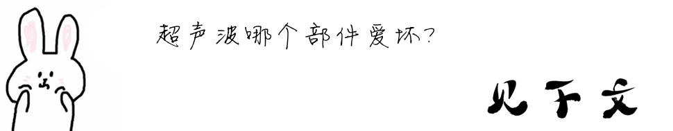 �����Ă������ۉ���