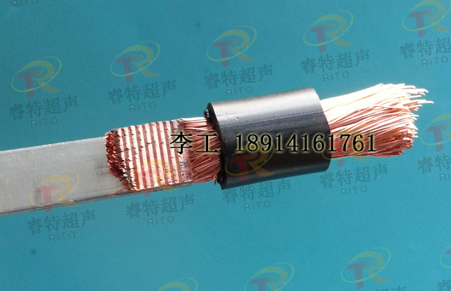 �XƬ+�~��������