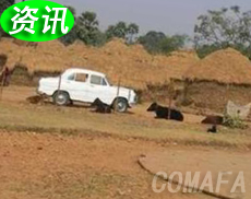 ӡ���r(n��ng)����܇�Ј�(ch��ng)ǰ���V� �����nϵ܇��(j��ng)��