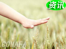 �����ИI(y��)�N�����fƽ�� �����P(gu��n)ע�{�I�����rֵ